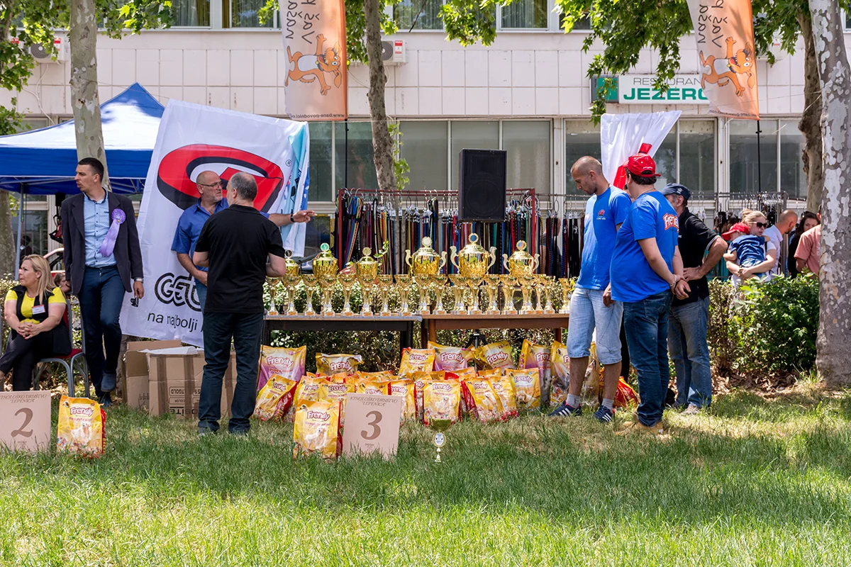 izložba pasa svih rasa kragujevac, hostel Fiona za goste 